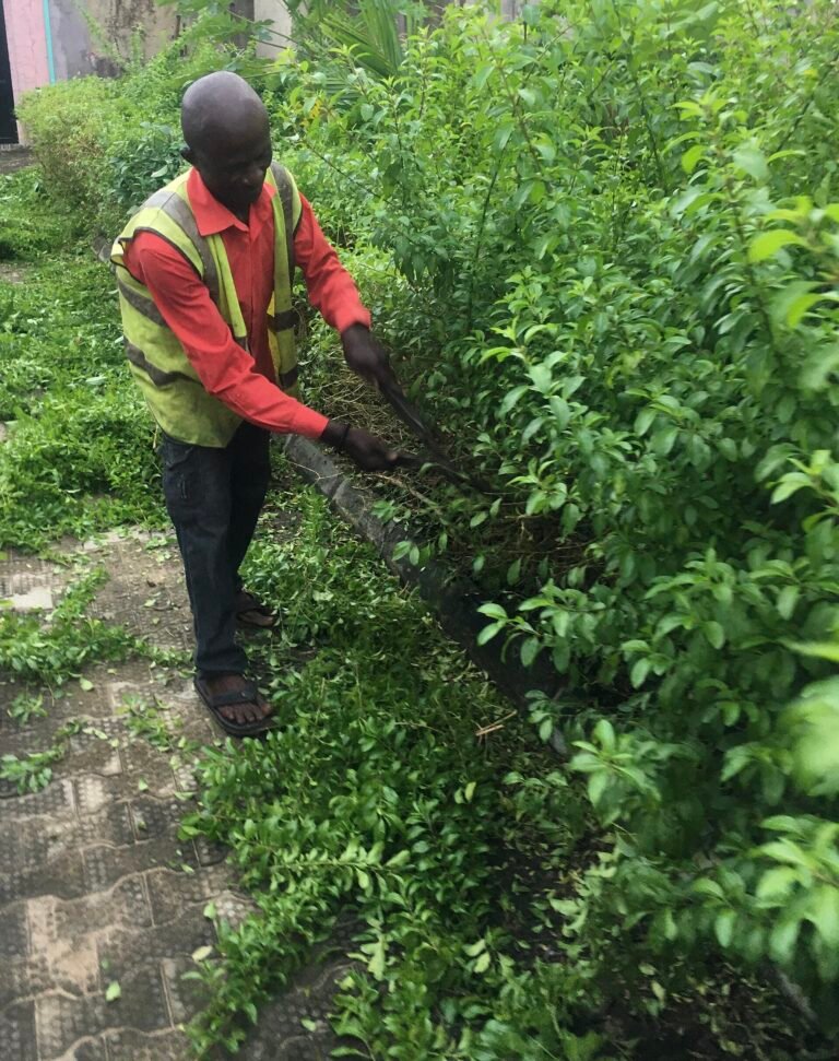 Gardener Jobs in Dubai 2026 – Hiring for Various Job Roles